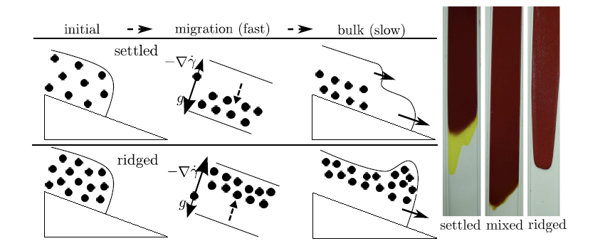 physical mechanisms and results of shear induced migration